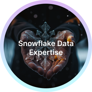 Snowflake Data Expertise