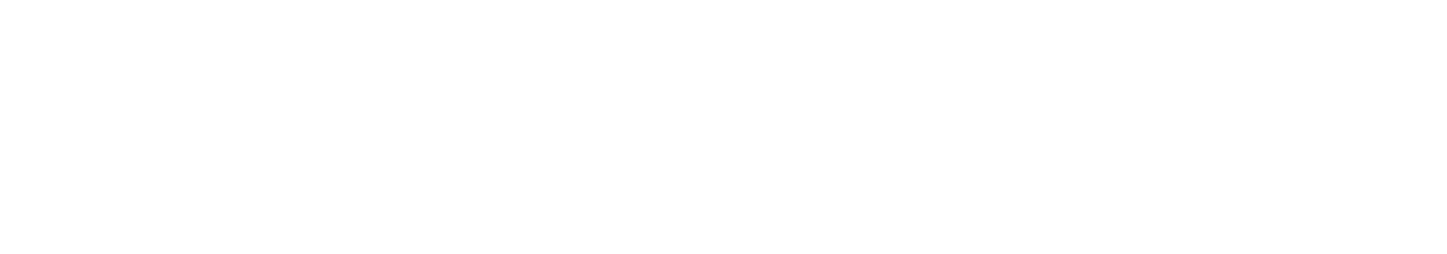 Avion Technology