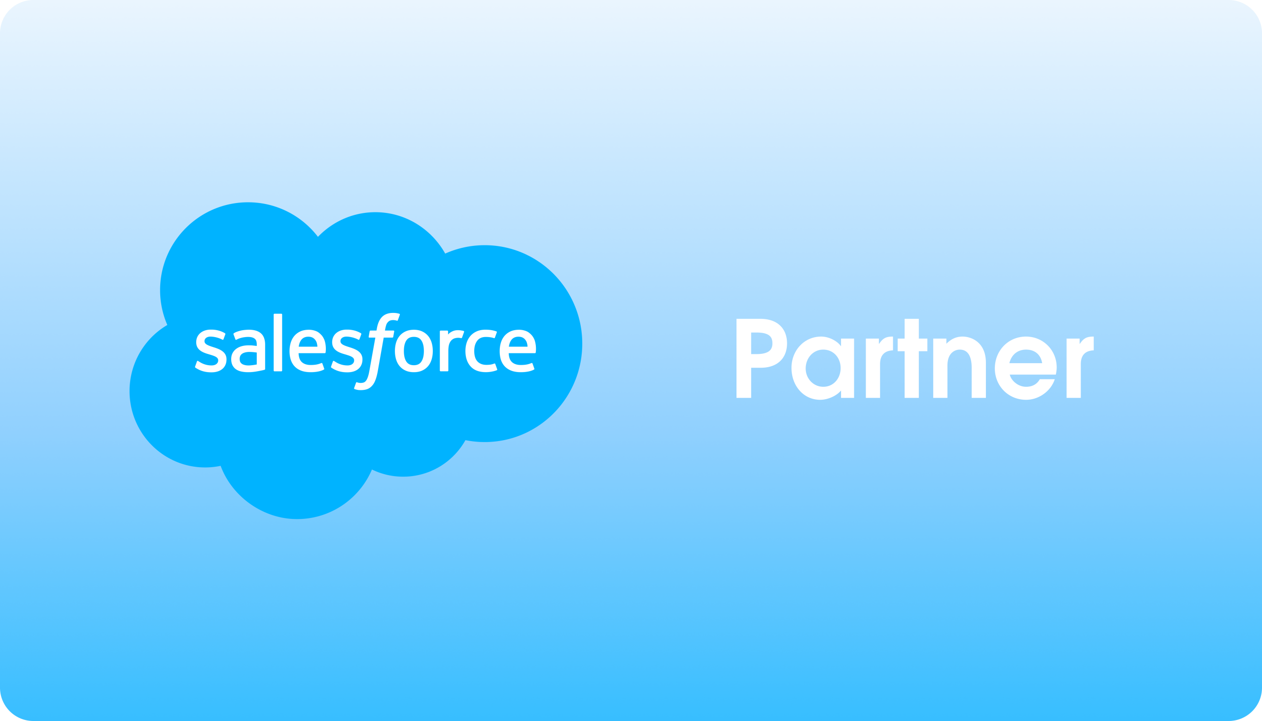 Salesforce Partner Badge_Horizontal