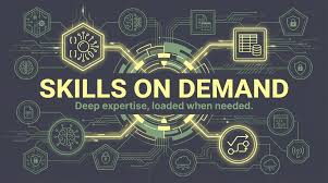 Domain Expertise or Verbosity – Avion Technology, Inc.